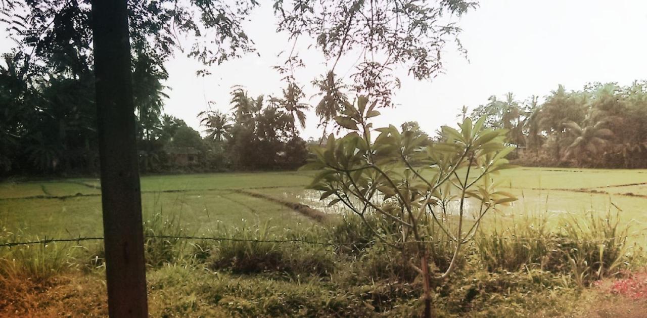 My Home Guest Polonnaruwa Exterior photo